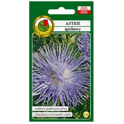 Nasiona Aster igieł Warszawskie Lila pnos639